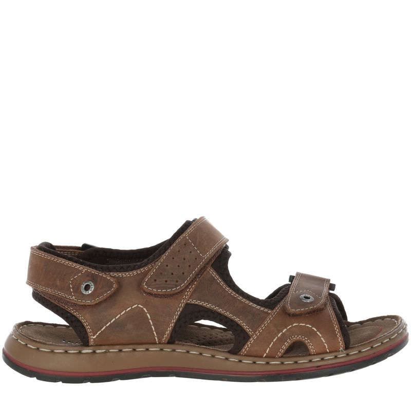 https---s3.amazonaws.com-ecom-imagenes.forus-digital.xyz.peru-HUSHPUPPIES-HP110011823_645_2.jpg