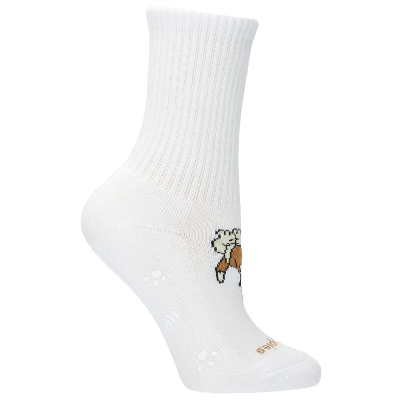 Calcetin-Para-Niño-Algodon---Spandex-C-Sportdog-Blanco-Hush-Puppies