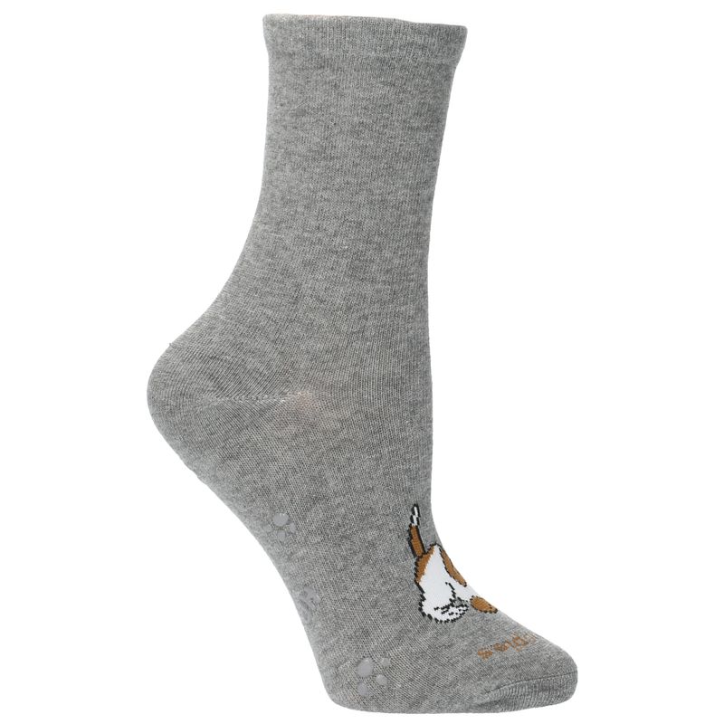 Calcetin-Para-Niño-Algodon---Spandex-Pack-Classicdog-Multicolor-Hush-Puppies