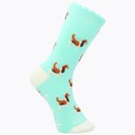 Calcetin-Para-Niña-Algodon-Spandex-I24G-C-St-Basset-Azul-Hush-Puppies