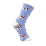 Media-Para-Niño-Algodon-Elastano-Basset-Azul-Hushpuppies