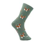 Media-Para-Niño-Algodon-Elastano-Basset-Gris-Hushpuppies