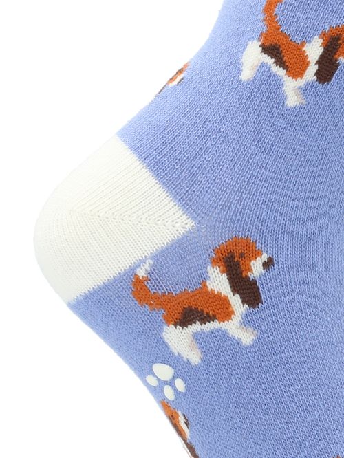 Media Para Niño Algodón/Elastano Basset Azul Hushpuppies
