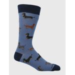 Medias-Para-Hombre-Algodon-Elastano-Dachshund-Azul-Hush-Puppies