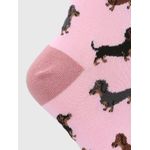 Medias-Para-Mujer-Algodon-Elastano-Dachshund-Rosado-Hush-Puppies