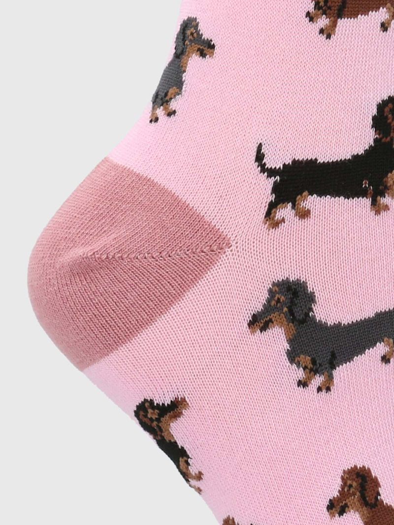 Medias-Para-Mujer-Algodon-Elastano-Dachshund-Rosado-Hush-Puppies