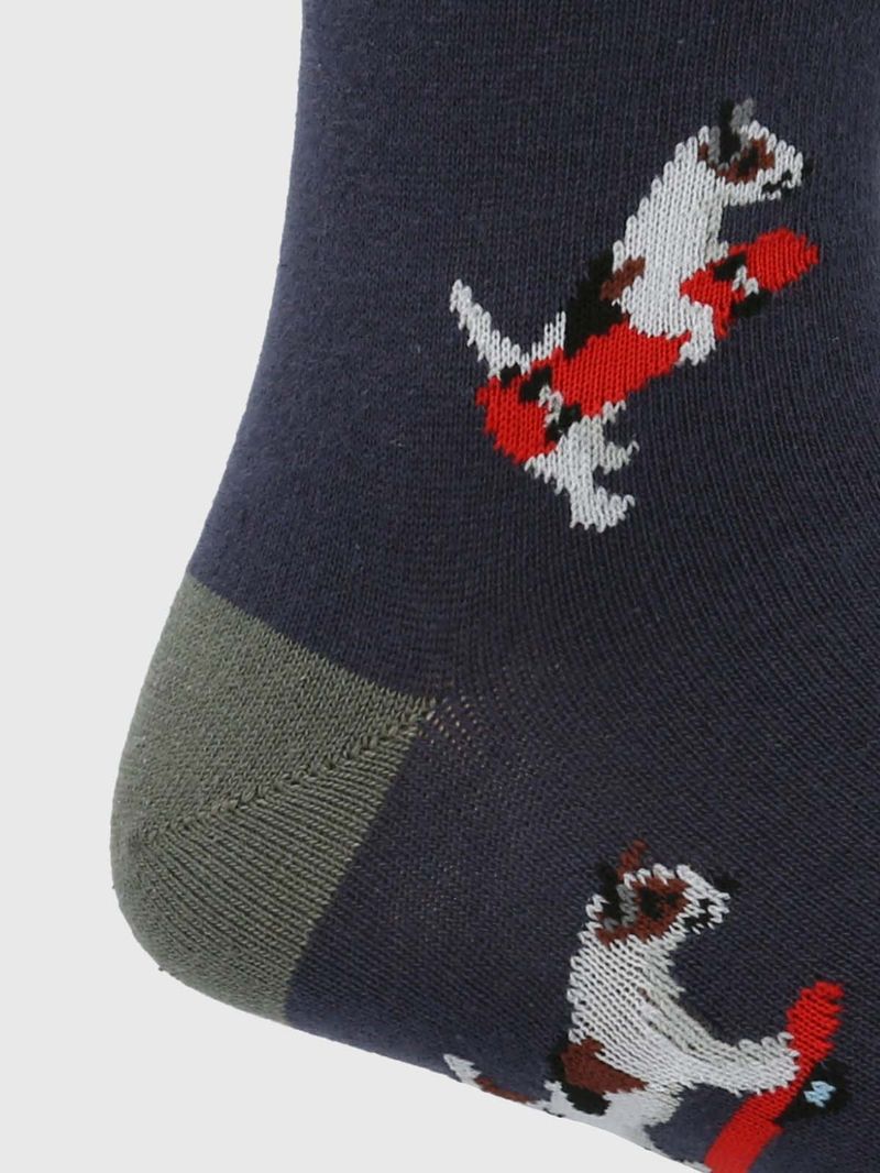 Medias-Para-Hombre-Algodon-Elastano-Cuff-Skatedog-Azul-Hush-Puppies