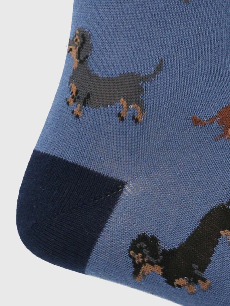 Medias-Para-Hombre-Algodon-Elastano-Dachshund-Azul-Hush-Puppies