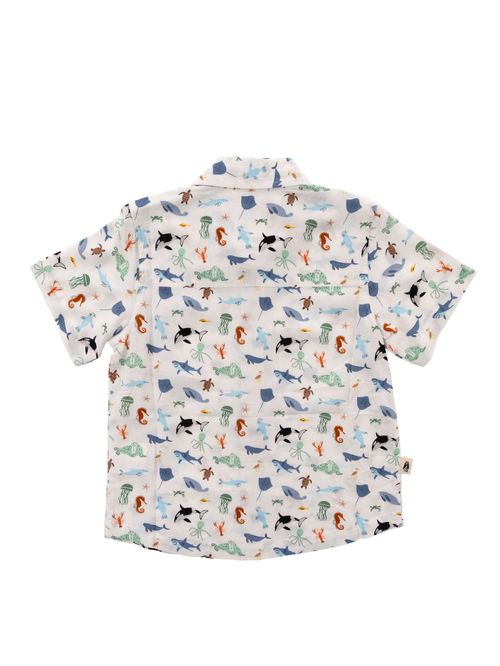 Camisa Para Niño Manga Corta Viscosa Guayabera Blanco Hush Puppies Kids