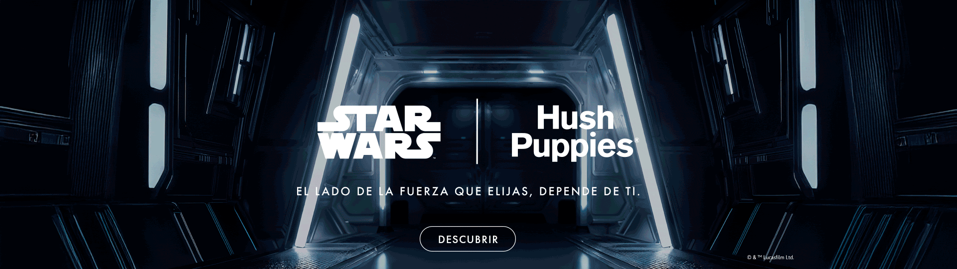 Star Wars / HP